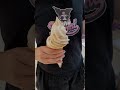 官心你的食衣住行育樂🍦 2023年9月3日 🍨 先麥芋頭酥 芋頭鮮奶霜淇淋 taro ice cream 紫色台中 伴手禮 ice ig 抖音 yt 火紅 火爆 超人氣甜點 dessert 芋頭控