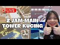 2 JAM MAIN TOWER KUCING - ROBLOX