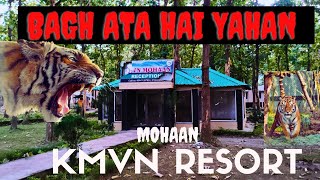 बाघ अगया था Campus में । KMVN Resort | Mohaan #tiger #jimcorbett