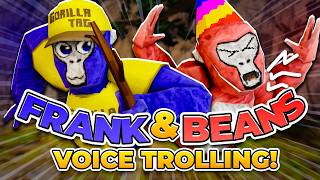 I Voiced Trolled as FRANK in Gorilla Tag...