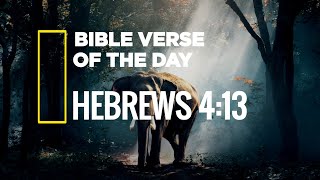 Hebrews 4:13/Bible verse of the day that could change your Entire day