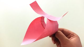 How To Make A Paper Circle Glider Airplane that Flies like a Bird!