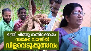 Harvest festival at Vadakke Vayal, Kadakkal with Minister Chinchu Rani | Haritham Sundaram EP 356