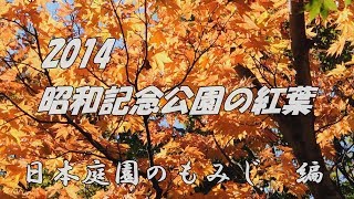 2014 昭和記念公園の紅葉（日本庭園のもみじ編）