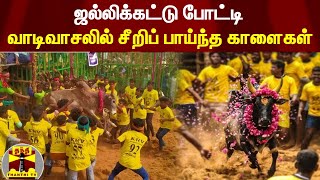 ஜல்லிக்கட்டு போட்டி - வாடிவாசலில் சீறிப் பாய்ந்த காளைகள் | Pudukkottai | Jallikattu | ThanthiTV