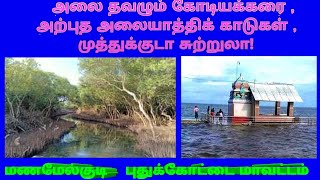 Kodiyakkarai, Manamelkudi Mangrove Forest | மணமேல்குடி கோடியக்கரை முத்துக்குடா அலையாத்திக் காடுகள்