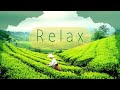 Relaxing Heavenly Music for Relaxation | stress relief | Deep Sleep