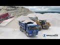 shacman jamaica f3000 dump truck