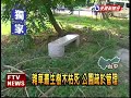 中市府蓋球場 樹倒一年未扶正－民視新聞