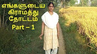 எங்களுடைய கிராமத்து தோட்டம்  Part – 1 /அழகான தோட்டம்