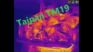 AGM Taipan TM19