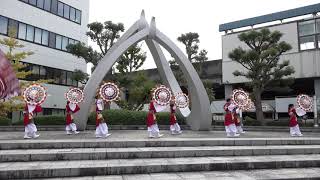 🌂踊乱華さん　♪ﾐｯｷｰﾏｳｽ･ﾏｰﾁ♪咲かせや咲かせ　 鳥取酒まつり2021.11.14