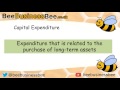 Capital and Revenue Expenditure