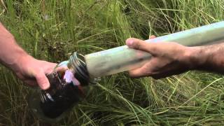 Wetland Assessment 6: Stress gradient - Sediment sampling