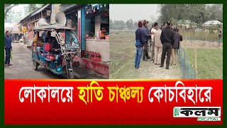 লোকালয়ে হাতি চাঞ্চল্য  কোচবিহারে Elephant in Coachbehar,agitation