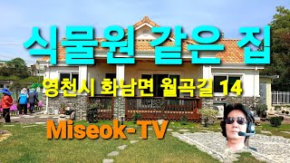 식물원 같은 집 Miseok-TV