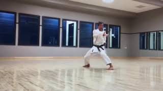 Sensei Tony Tam Nijushiho Demonstration