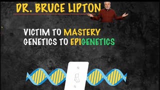Dr. Bruce Lipton | Thoughts NEGATIVE OR POSITIVE shapes our biology| PLACEBO and NOCEBO Effects