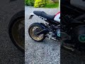 yamaha xsr900 akra exhaust