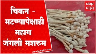 Gondia Wild Mushrooms | गोंदियाच्या बाजारपेठेत जंगली मशरुम, भाव ऐकून बसेल धक्का