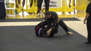 David Miami Spring International Open Jiu-Jitsu IBJJF Championship