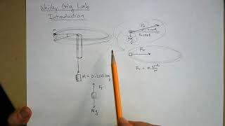 PHY Whirley Gig Lab Introduction