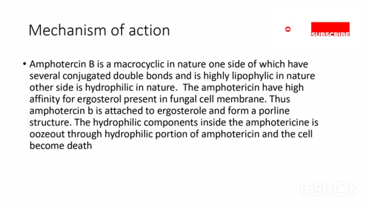 AMPHOTERICIN B/ MECHANISM OF ACTION SHORT NOTE - YouTube