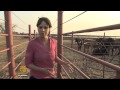 South Africa drought: maize production drops by a third