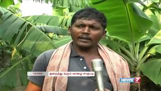 Tenkasi farmers demand Govt to form agricultural market