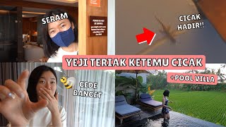 YEJI TERIAK KETEMU CICAK INDONESIA🇮🇩 + VILLA HONEY MOON