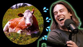 Cody and Noel talk about their hilarious farm experience (Part 2)