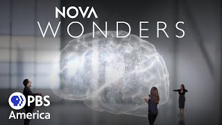 Nova Wonders - Can We Build a Brain? (2018) | Full Documentary | NOVA