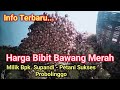 Harga bibit bawang merah MEROKET hari ini @SANGPROKLAMATOR324 #vlog