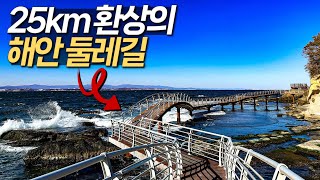 총 거리 25km! 천혜의 경관을 자랑하는 환상의 해안 둘레길 | 대중교통 국내여행 | 겨울 동해 트레킹 | 호미반도해안둘레길 | 경북 포항