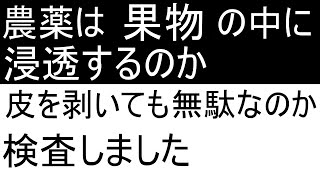 農薬は農産物の中に浸透するのか、検査しました