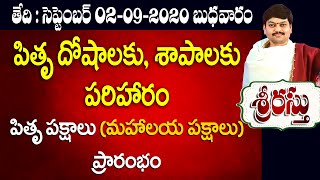 పితృ దోషాలకు పరిహారం Srirastu 02 September 2020 Sanathanam Sri Tejaswi Sharma daily panchangam