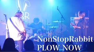 PLOW NOW/NonStopRabbit 【ノンラビ】【NonStopRabbit】【ライブ映像】＃Shorts