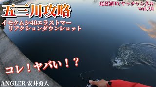 【バス釣り】五三川攻略！コレ！マジで釣れる！イモケムシ40のリアクションダウンショット炸裂！！