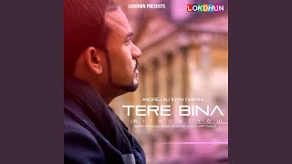 Tere Bina (feat. Pav Dharia)