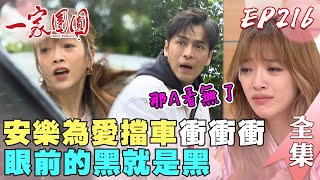 一家團圓 EP216 安樂被撞一個茫了也盲了！木林搞不定的兩個女人槓上惹｜Family Reunion｜完整版｜【健康3D紅麴+鉻 雙效錠】