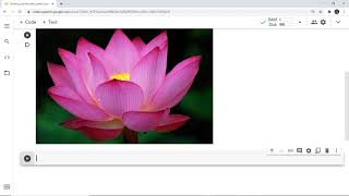 Opencv with Google Colab | Read, Display, and Write Images using OpenCV in google Colab