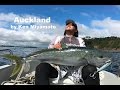 KINGFISH GAME in Auckland