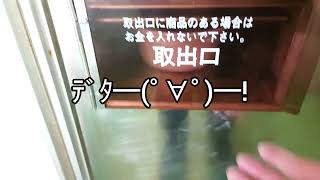 群馬県オレンジ353で天ぷらうどんを食べてみた😋🍴✨