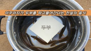 전설의 음식 시도해 봤습니다