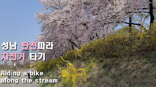 [4K] 성남 분당 탄천따라 자전거 타기 Bike Riding along the stream with cherry blossoms (9.April.2022, 11~25℃)