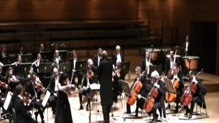 Christina Brabetz - Richard Strauss: Concerto op. 8 per violino e orchestra