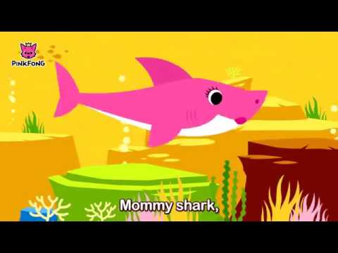 Baby Shark Animal Songs PINKFONG Songs For Children - YouTube