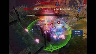 リネレボ要塞大戦20人 ぷりん vs 重槍士団 血盟さま