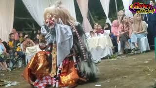 TARI JAOK BALI/LEAK NDADI KARYA SENI JARANAN CINTA SAUDARA.LIVE PUGER JEMBER