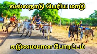 (28.05.22)வல்லநாடு||பெரிய மாடு||தூத்துக்குடி (மா)||@Vetritamilan